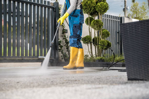 Best Residential Pressure Washing Services  in Cordova, AK