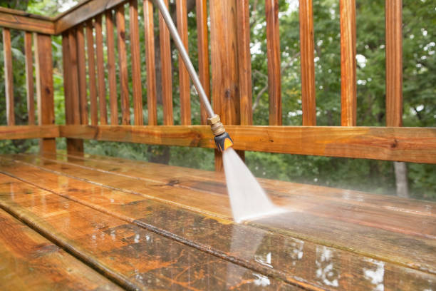 Best Exterior Home Cleaning  in Cordova, AK